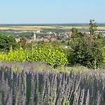Kiralyvoelgy Birtok