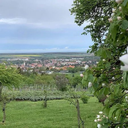 Királyvölgy Birtok - Midi Vendégház Hébergement de vacances *