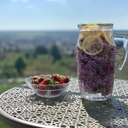 Királyvölgy Birtok - Midi Vendégház *